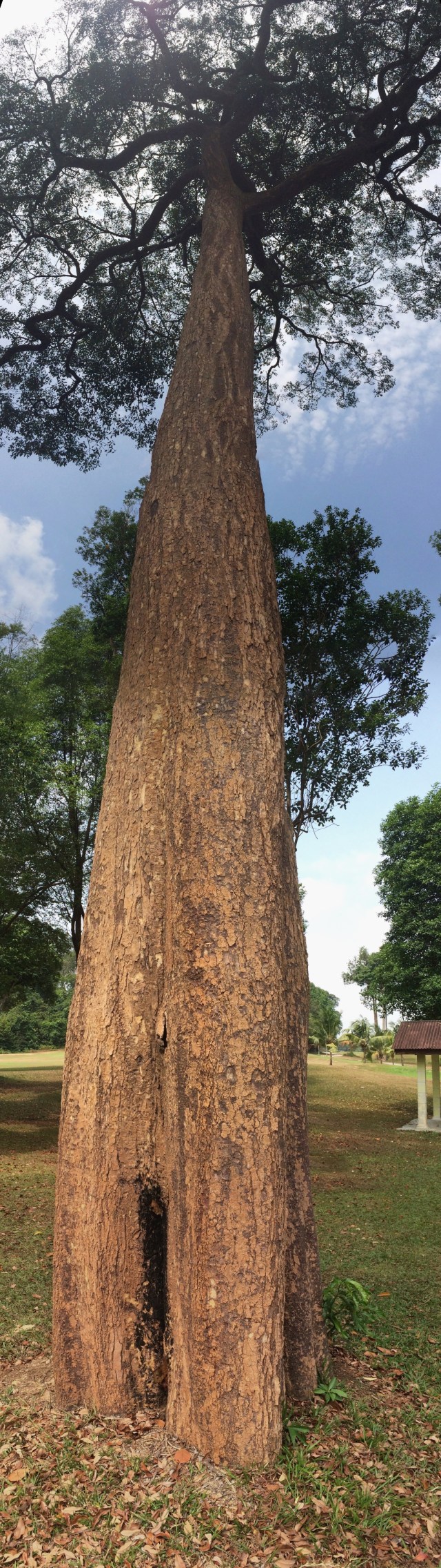 [Group 3]-[Group 0]-IMG_7651_IMG_7652-2 images_IMG_7654-3 images (1)